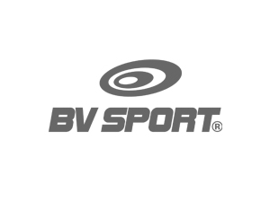 logo bvsport